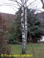 Baum auf Hausdach gestürzt