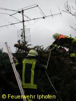 Baum auf Hausdach gestürzt