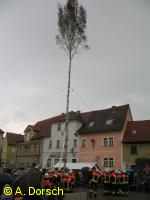 Baum steht! Tusch von der Musik.