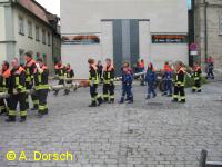 ... und schließlich der Baum begleitet von der Feuerwehr.