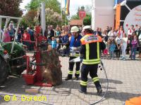 Finger sind noch im Stamm.